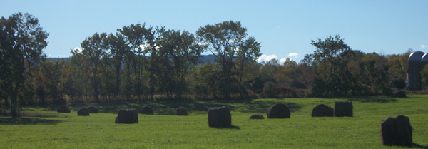 Agricultural and Farmland Protection Plan