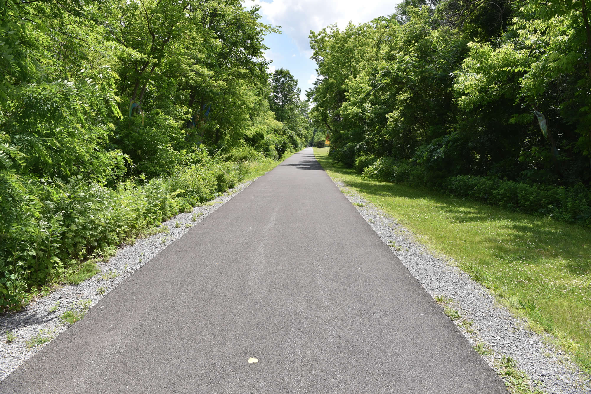 Rail Trail June 2022 (view of trail)